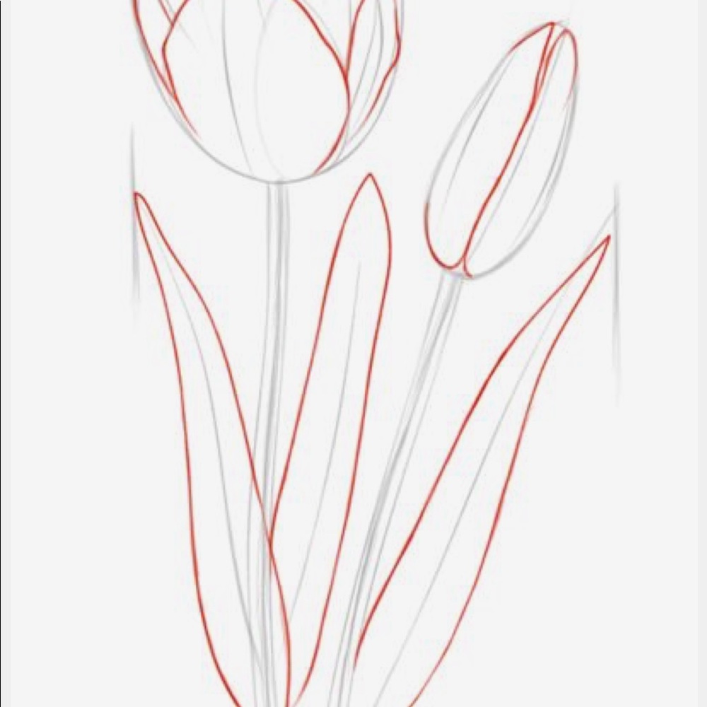 Meet your Posher, Amara